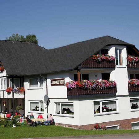 Landhaus Behle Willingen  Εξωτερικό φωτογραφία